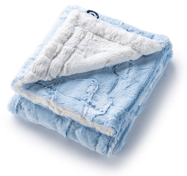 Blue minky online blanket