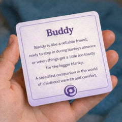 Cottoncandy/Ivory Buddy Blanket | Reversible Plush Lovey